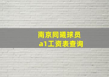 南京同曦球员a1工资表查询