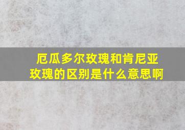 厄瓜多尔玫瑰和肯尼亚玫瑰的区别是什么意思啊