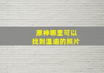 原神哪里可以找到温迪的照片