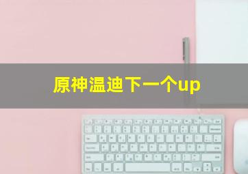 原神温迪下一个up