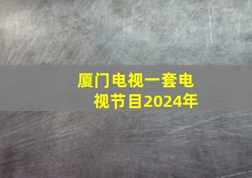 厦门电视一套电视节目2024年