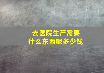 去医院生产需要什么东西呢多少钱