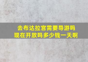 去布达拉宫需要导游吗现在开放吗多少钱一天啊