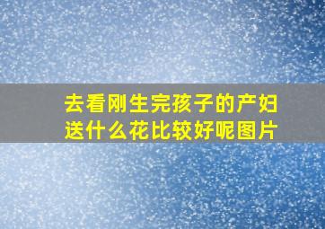 去看刚生完孩子的产妇送什么花比较好呢图片