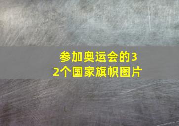 参加奥运会的32个国家旗帜图片