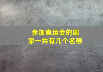 参加奥运会的国家一共有几个名额