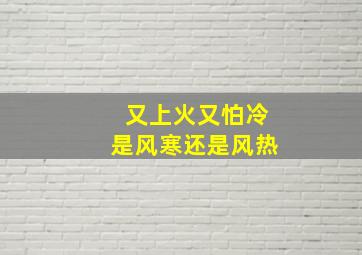 又上火又怕冷是风寒还是风热