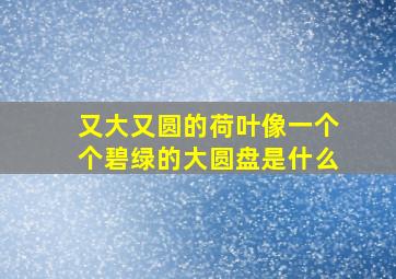 又大又圆的荷叶像一个个碧绿的大圆盘是什么