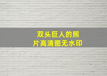 双头巨人的照片高清图无水印