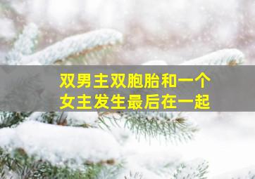 双男主双胞胎和一个女主发生最后在一起