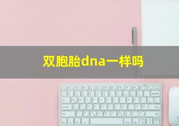 双胞胎dna一样吗