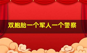 双胞胎一个军人一个警察