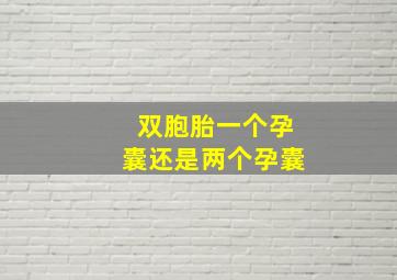 双胞胎一个孕囊还是两个孕囊