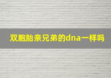 双胞胎亲兄弟的dna一样吗