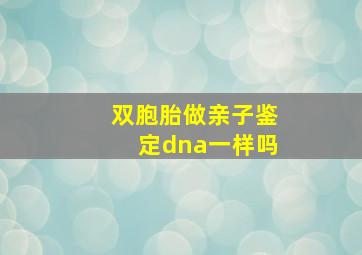 双胞胎做亲子鉴定dna一样吗