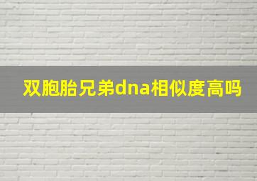 双胞胎兄弟dna相似度高吗