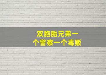 双胞胎兄弟一个警察一个毒贩