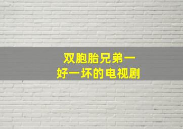 双胞胎兄弟一好一坏的电视剧