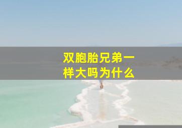 双胞胎兄弟一样大吗为什么