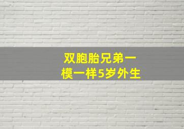 双胞胎兄弟一模一样5岁外生