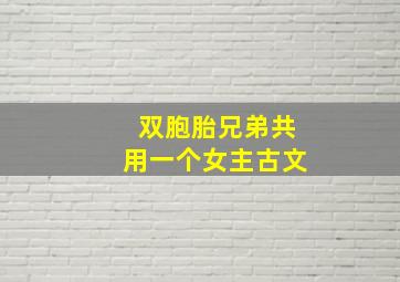 双胞胎兄弟共用一个女主古文