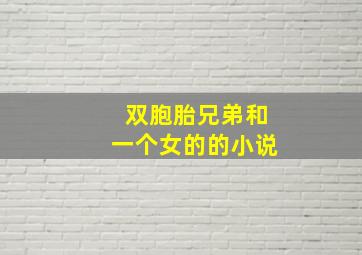 双胞胎兄弟和一个女的的小说