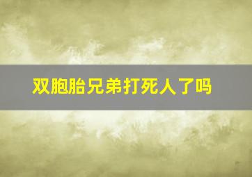 双胞胎兄弟打死人了吗