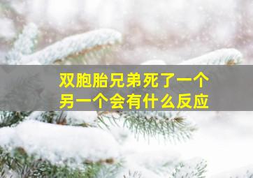 双胞胎兄弟死了一个另一个会有什么反应