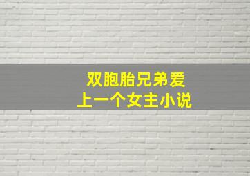 双胞胎兄弟爱上一个女主小说