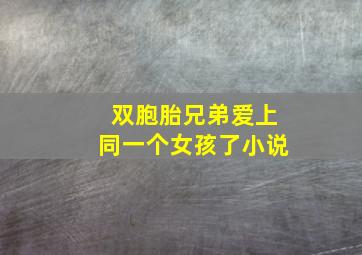 双胞胎兄弟爱上同一个女孩了小说