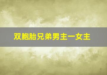 双胞胎兄弟男主一女主