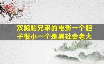 双胞胎兄弟的电影一个胆子很小一个是黑社会老大