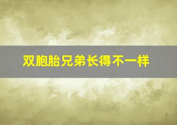 双胞胎兄弟长得不一样