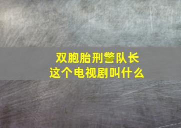 双胞胎刑警队长这个电视剧叫什么