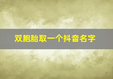 双胞胎取一个抖音名字