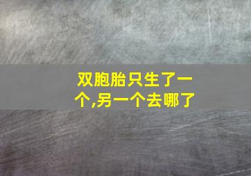 双胞胎只生了一个,另一个去哪了