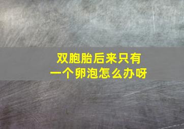 双胞胎后来只有一个卵泡怎么办呀