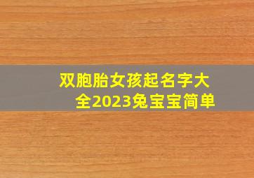 双胞胎女孩起名字大全2023兔宝宝简单