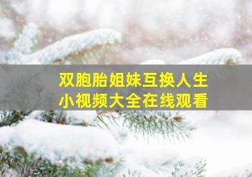 双胞胎姐妹互换人生小视频大全在线观看