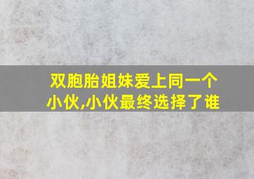 双胞胎姐妹爱上同一个小伙,小伙最终选择了谁