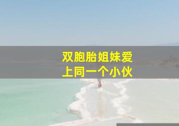 双胞胎姐妹爱上同一个小伙