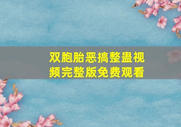 双胞胎恶搞整蛊视频完整版免费观看