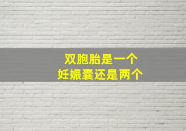 双胞胎是一个妊娠囊还是两个