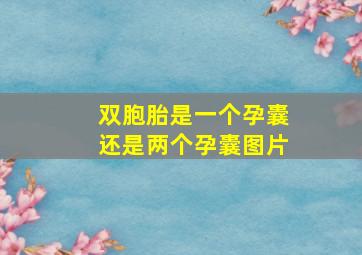 双胞胎是一个孕囊还是两个孕囊图片