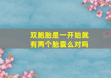 双胞胎是一开始就有两个胎囊么对吗