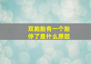 双胞胎有一个胎停了是什么原因