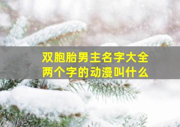 双胞胎男主名字大全两个字的动漫叫什么