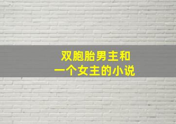 双胞胎男主和一个女主的小说