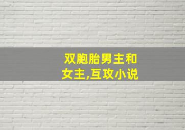 双胞胎男主和女主,互攻小说