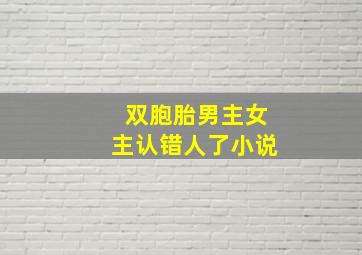 双胞胎男主女主认错人了小说